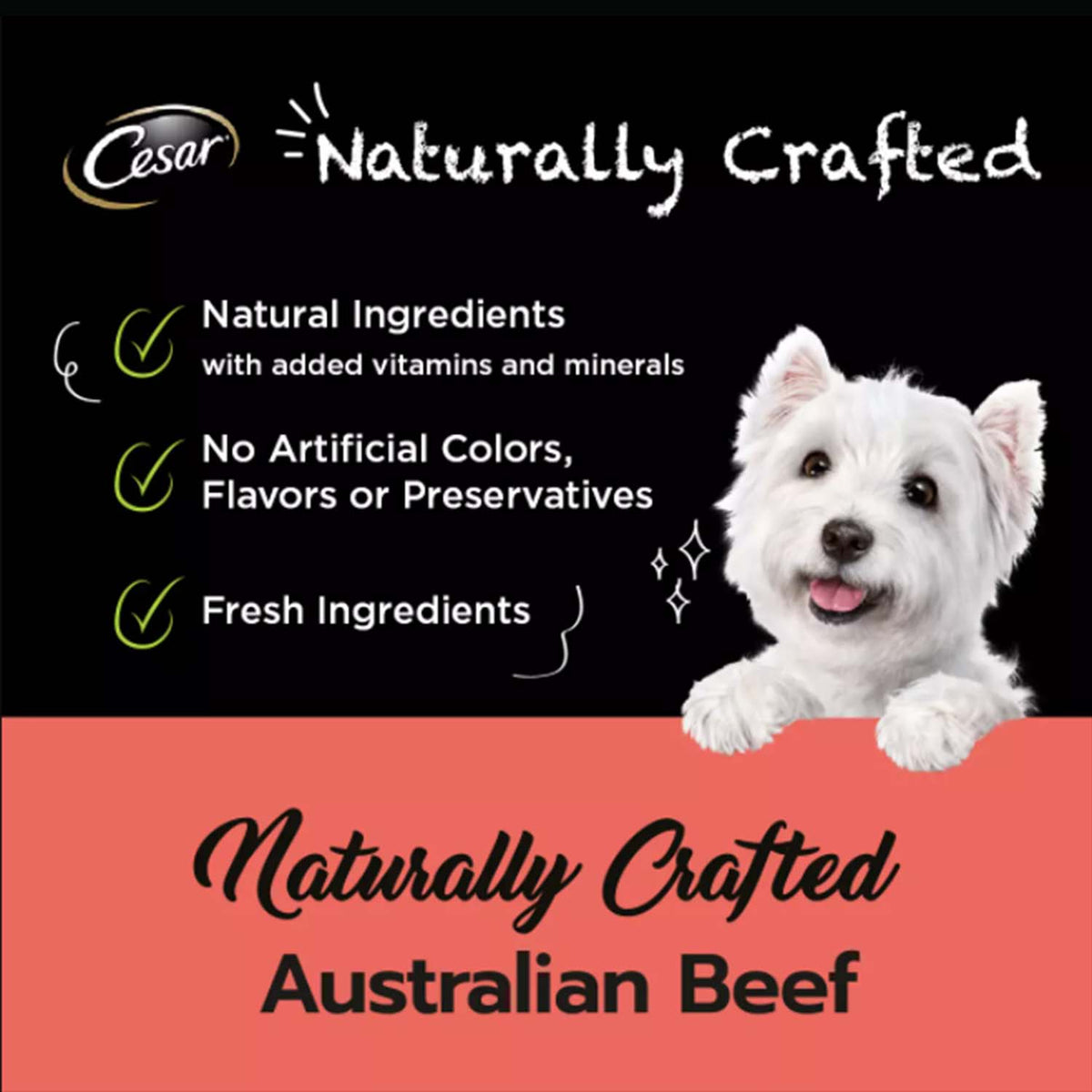 Cesar Naturally Crafted Australian Beef Tray Dog Food Pets Station