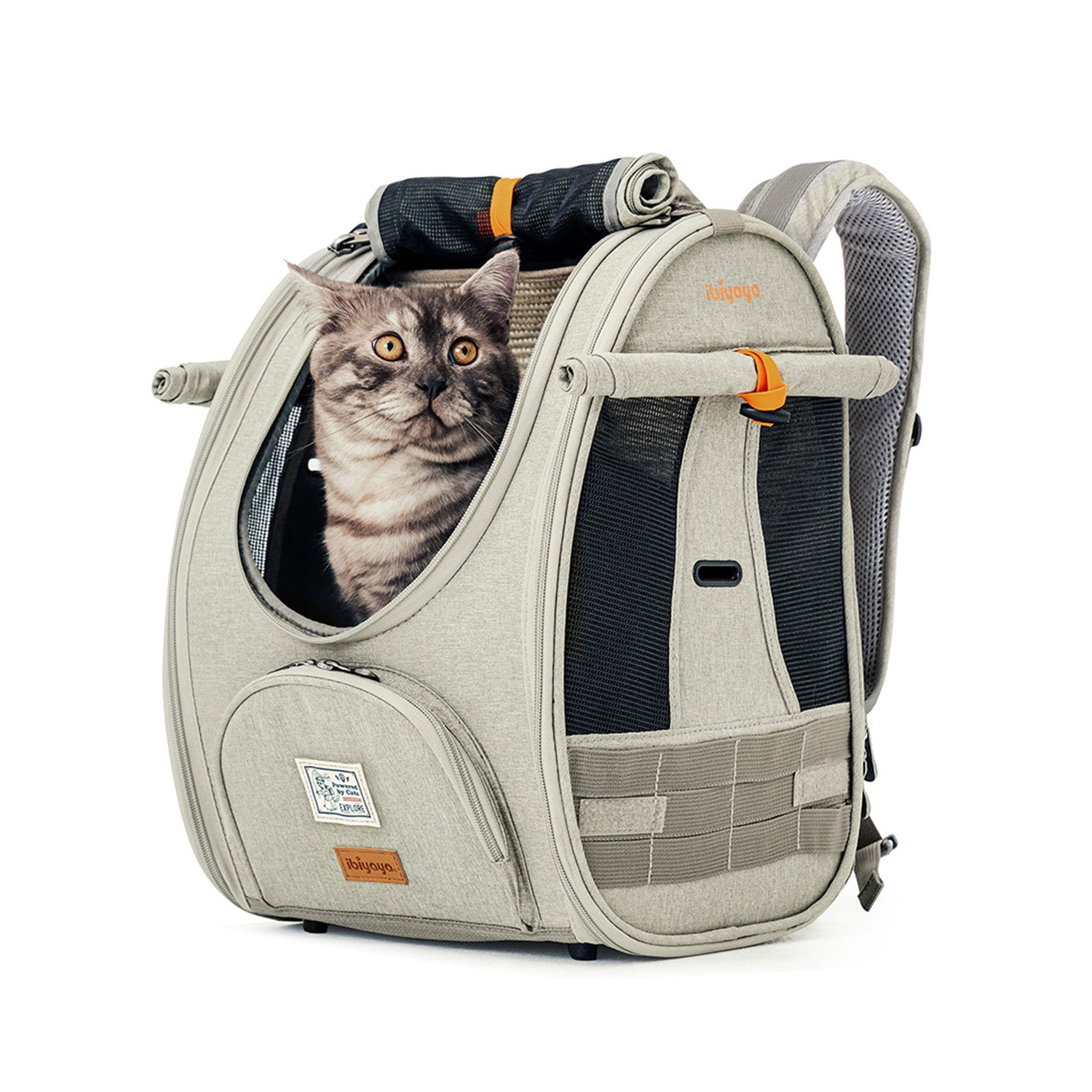 Backpack pet carrier for cats outlet