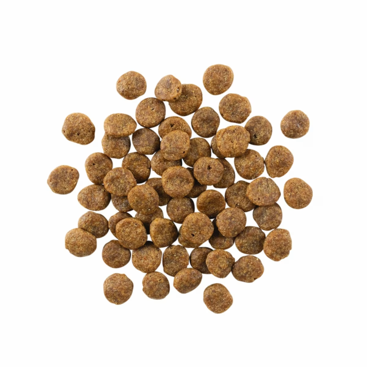 Go Solution Sensitivities Grain Free Salmon Recipe Dog Dry Food