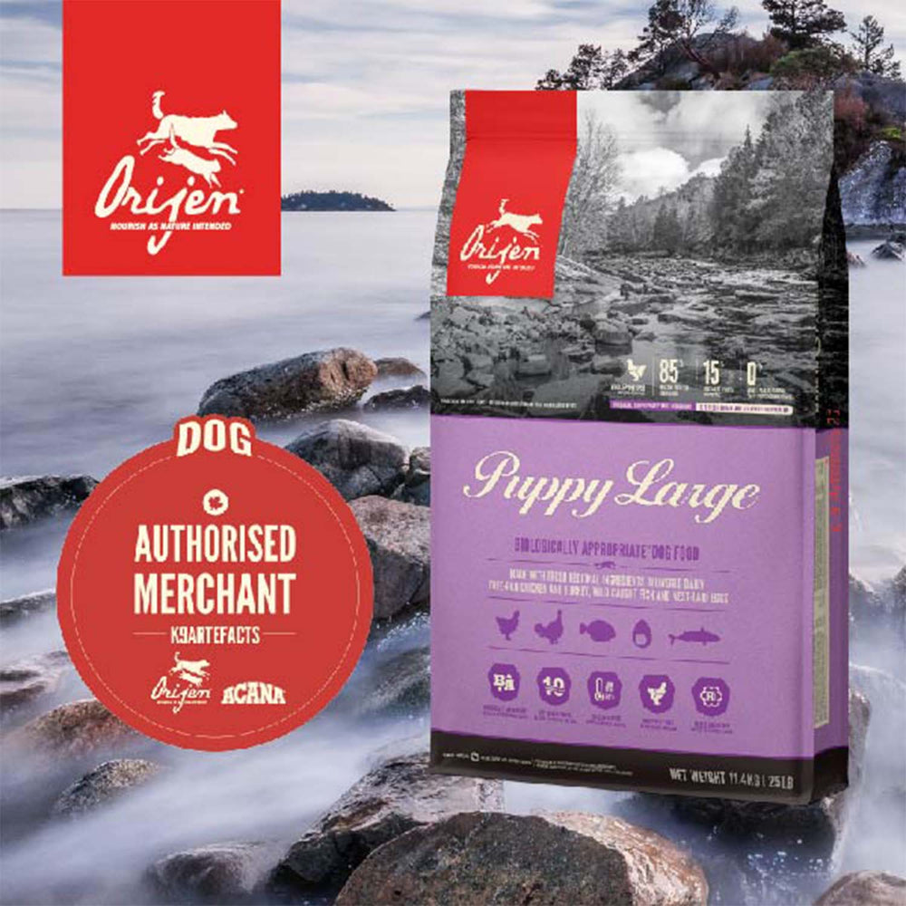 Orijen Puppy Large Dry Dog Food