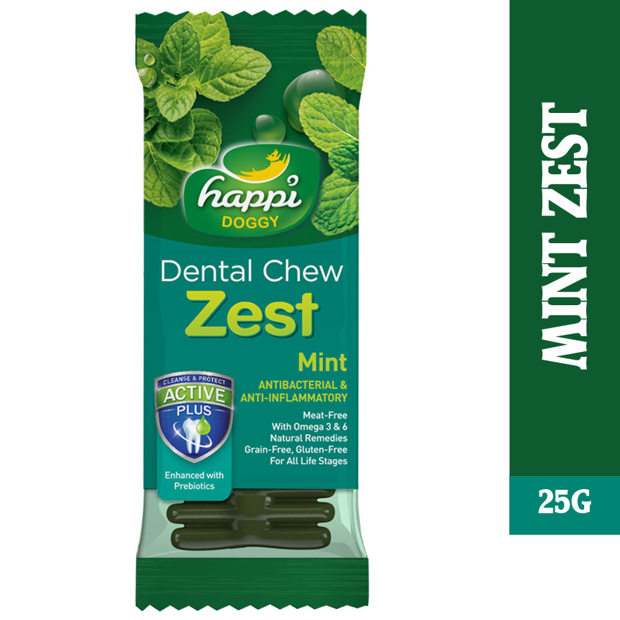 Happi Skippi Dental Chew Zest Mint Dog Treat 4 inch Pets Station