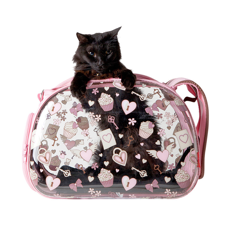 Hard case best sale pet carrier