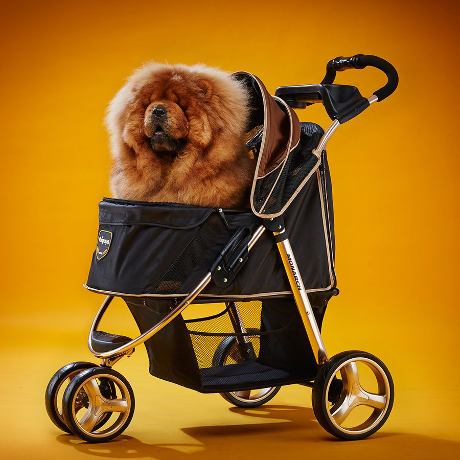 Ibiyaya Monarch Premium Pet Jogger Stroller Up to 28Kg - Luxury Gold –  Muddy Paw Shop