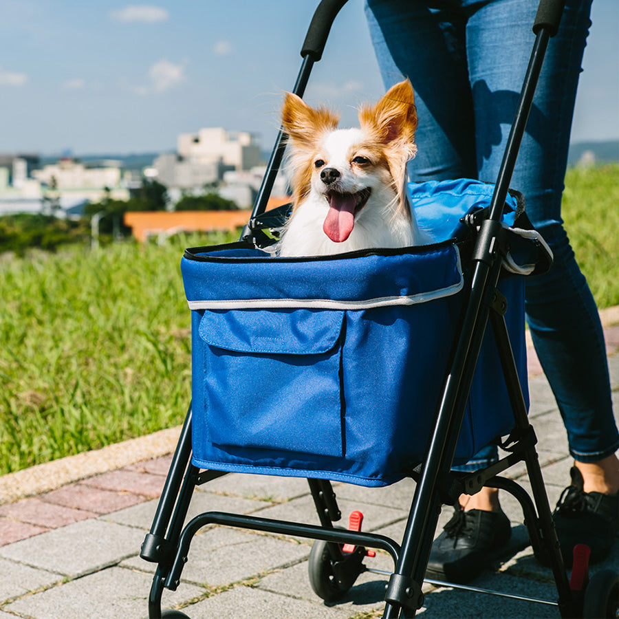 Go lite outlet stroller