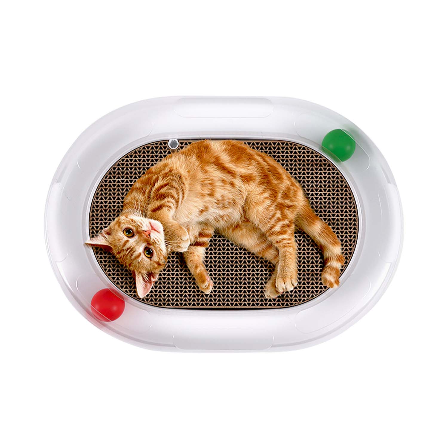 Carno Running Track Cat Scratching Board Pets Station