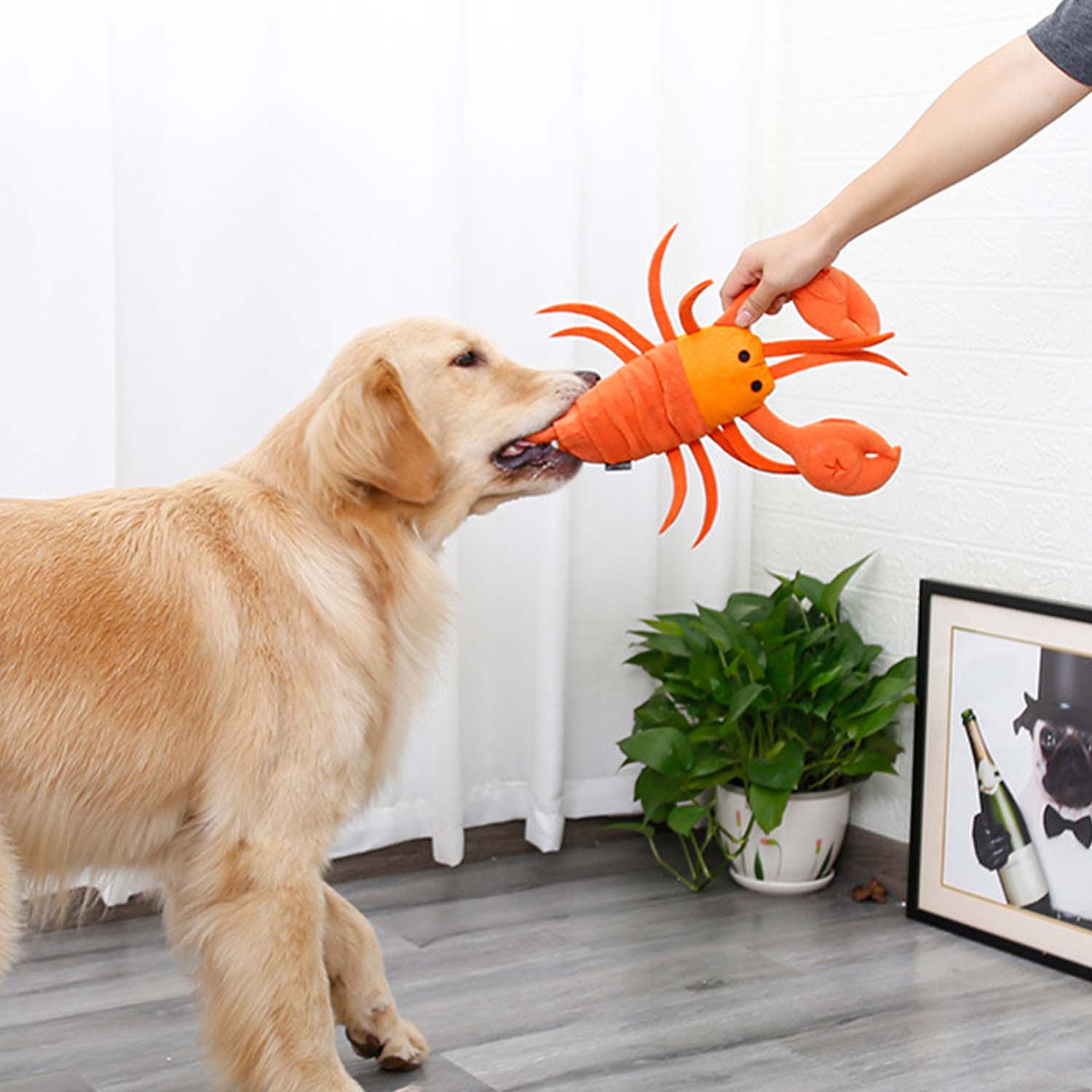 Snuffle Toy - Lobster