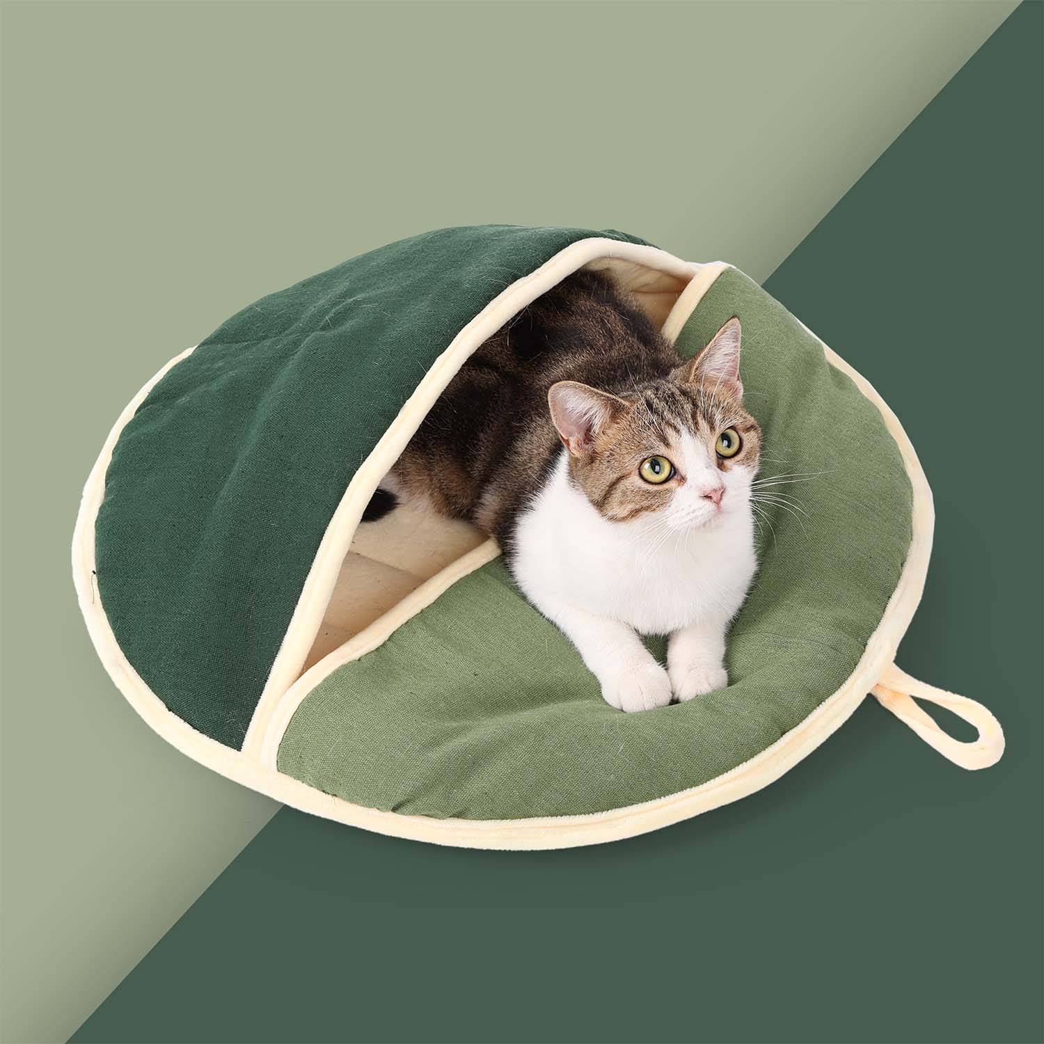 Doglemi Moon Fat Cat Cave Green Pets Station