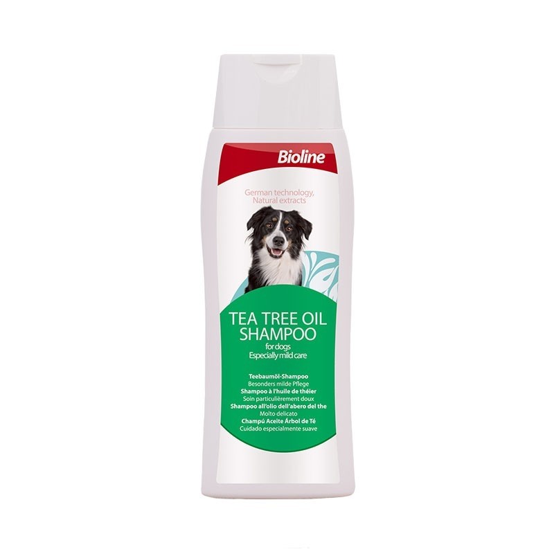 Adding tea tree shop oil to dog shampoo