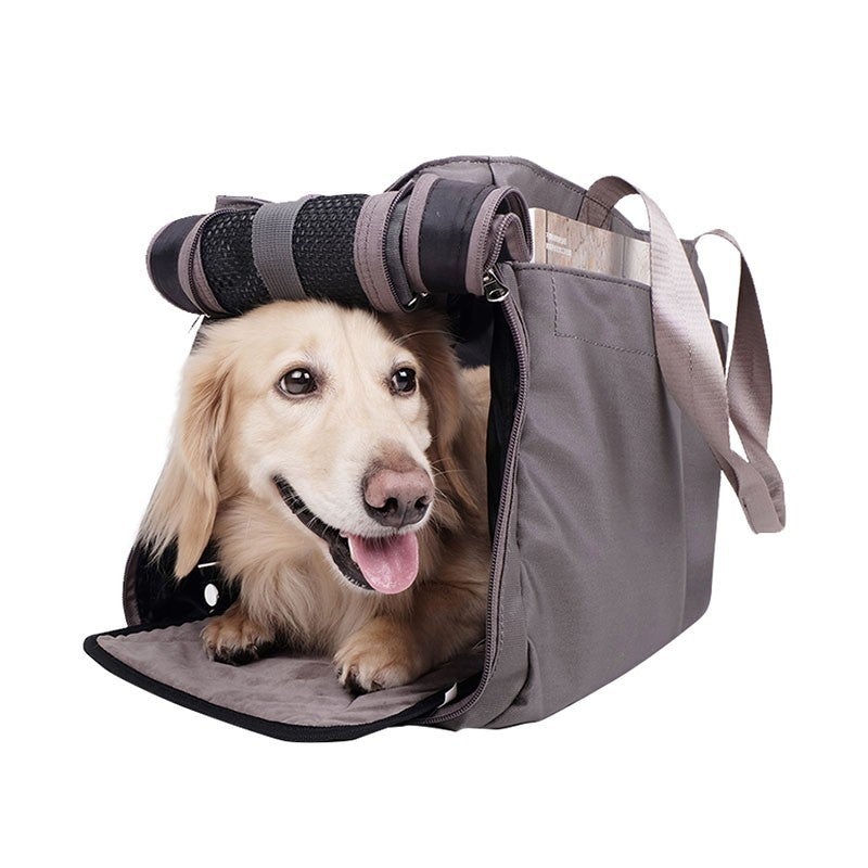 Canvas pet outlet carrier