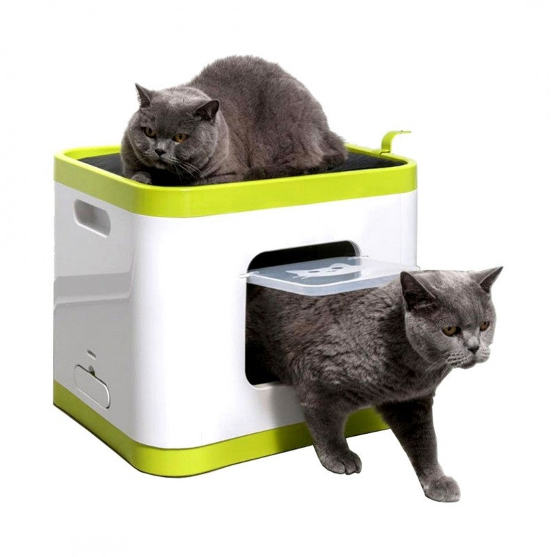 Moderna cat outlet toilet