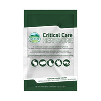 Oxbow critical 2024 care guinea pig