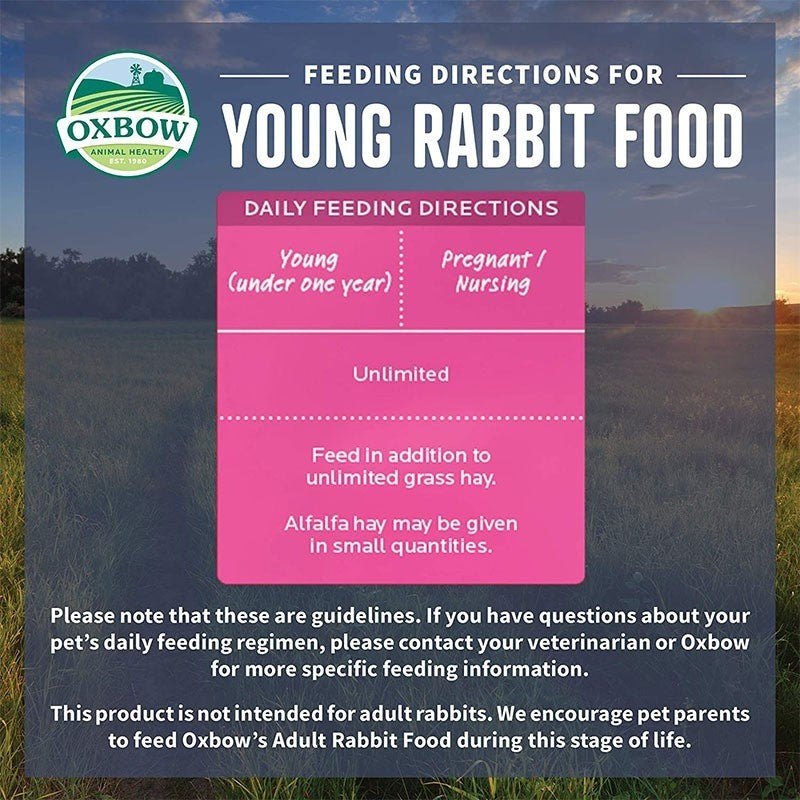 Oxbow young deals rabbit food