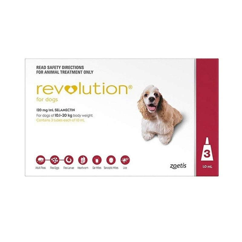 Revolution mange hot sale treatment