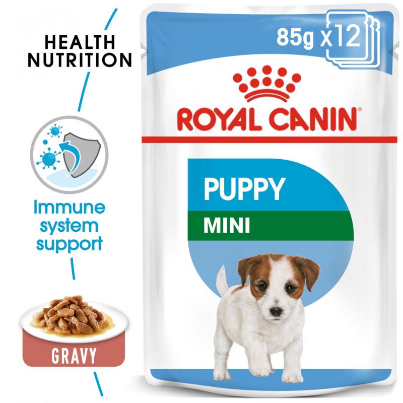 Royal canin dog food 2024 kangaroo