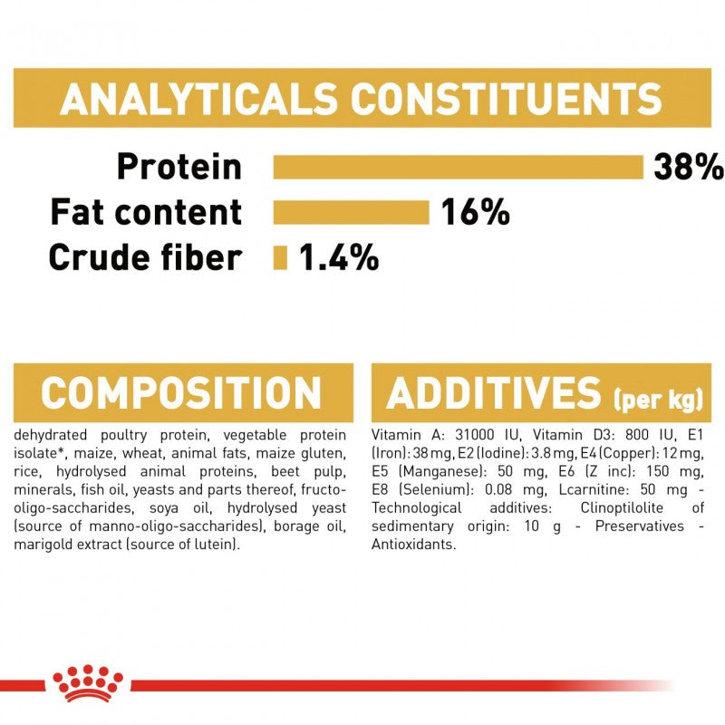 Royal Canin Feline Breed Nutrition Siamese Adult Dry Cat Food