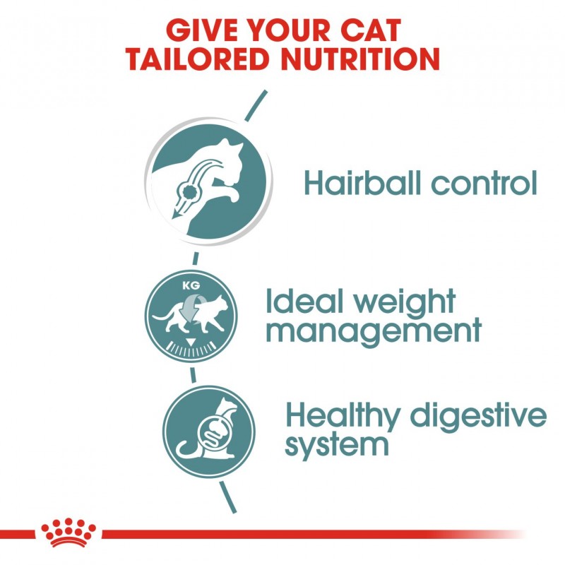 Royal Canin Feline Care Nutrition Hairball Care Pouch Cat Food