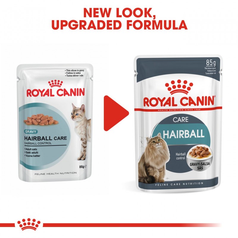 Royal Canin Feline Care Nutrition Hairball Care Pouch Cat Food Pets Station