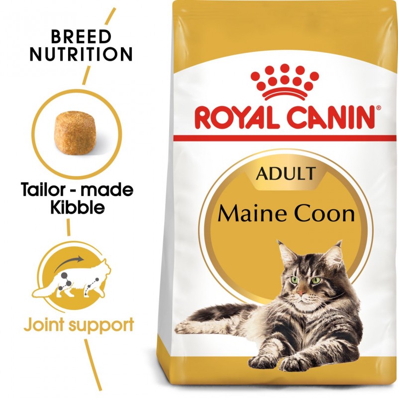 Royal Canin Feline Breed Nutrition Maine Coon Adult Dry Cat Food