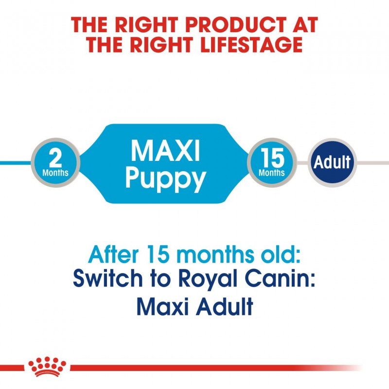 royal canin maxi puppy 20 kg