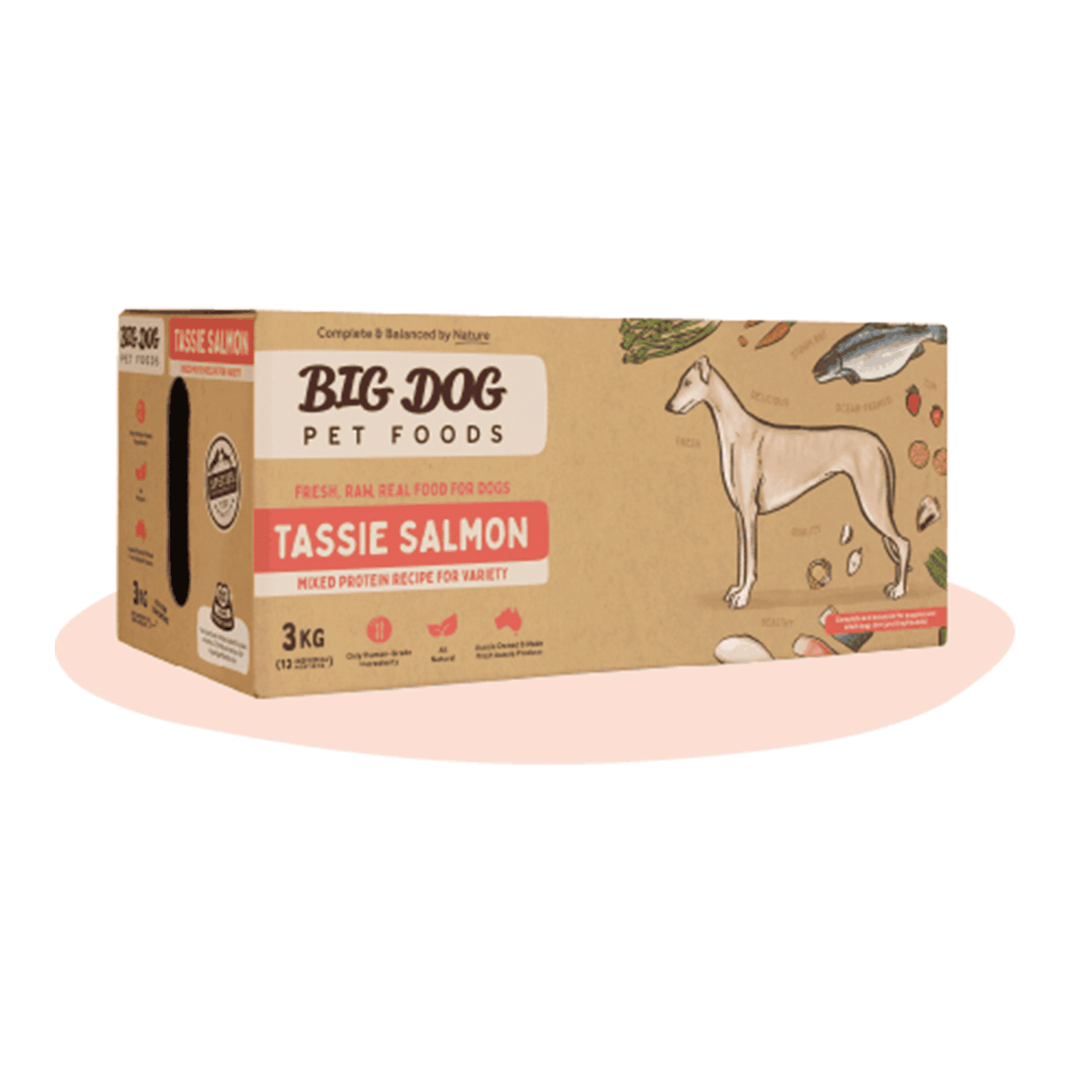 Big Dog Salmon Barf Frozen Raw Dog Food Pets Station