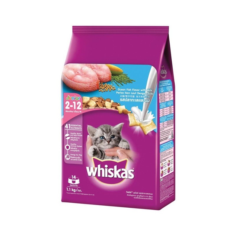 Junior whiskas hot sale